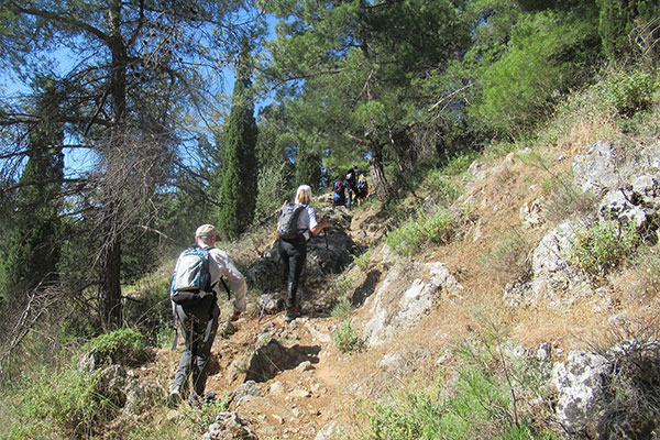 Explor.gr